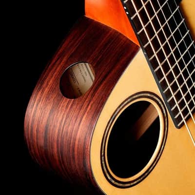 Walden B103E Baritone Solid Sitka top/Ovangkol Grand Auditorium Baritone-Electric Satin Natural w/Case image 7