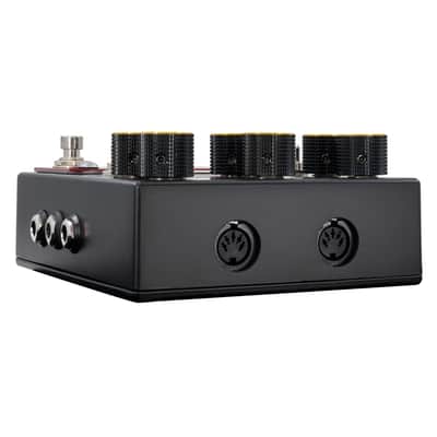 Immagine Walrus Audio Meraki: Stereo Analog Delay - 6