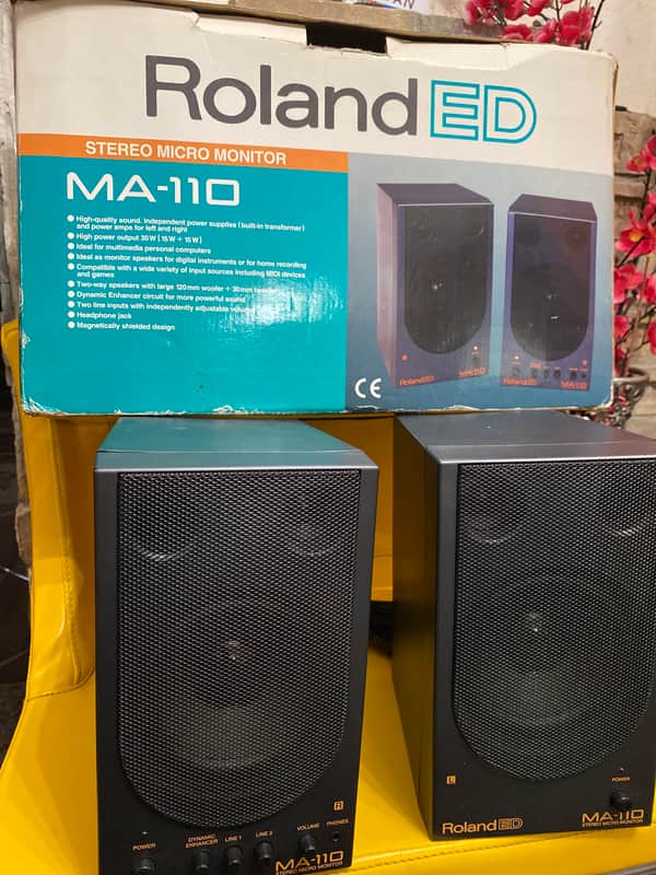 ROLAND MA-110 STEREO MICRO MONITOR Set Tested 30W Computer | Reverb