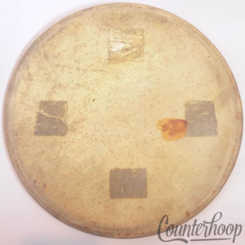 *Leedy 12" Calf Skin Ride Tom Drum Head Vintage 30s Calfskin Thick Batter USA* image 1