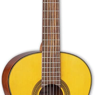 Takamine GC1 NAT G Series Classical Nylon String Acoustic Guitar 2010s - Natural Gloss image 2