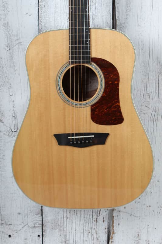 Washburn D100SWE Dreadnought Acoustic Electric Guitar with Hardshell Case image 1