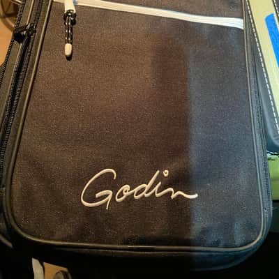 Godin Stadium HT 2023 - Trans White, Telecaster  Style, 6 pounds 7 ounces , Love at first strum!  Deluxe Godin Gig Bag. image 14