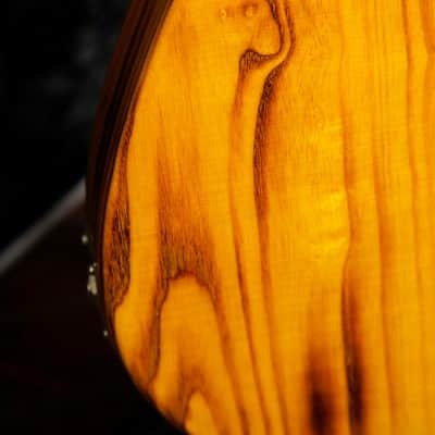 Patrick James Eggle OZ-T-S/S Torched Butterscotch Electric Guitar image 18