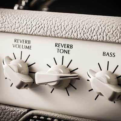 Victory Amps The Duchess V40 Deluxe Head image 4
