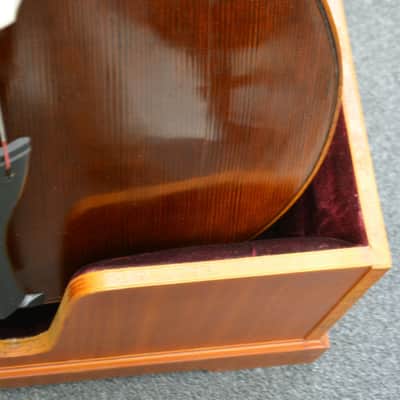 Vienna Strings Munich 3/4 Bass Shaded Walnut image 6