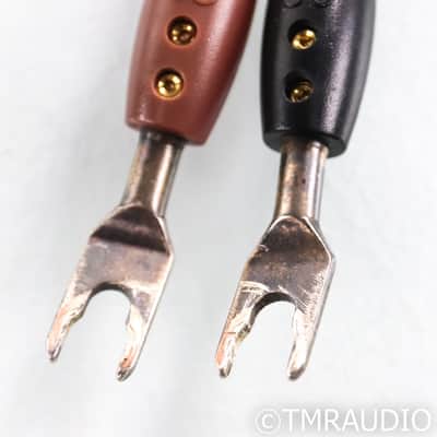 Audioquest Volcano Speaker Cables; 6ft Pair; 72v DBS image 10