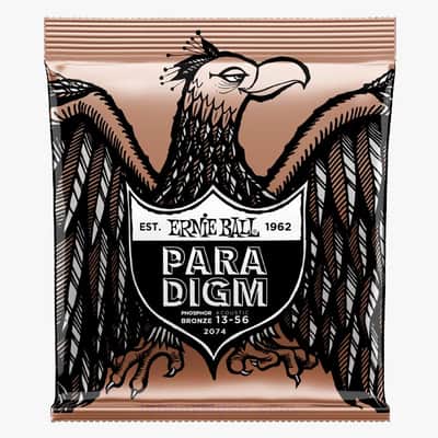 Paradigm Medium Phosphor Bronze Acoustic Guitar Strings 13-56 Gauge Set Plasma Enhanced Wrap Wire Nanotech Coat-Treated image 1