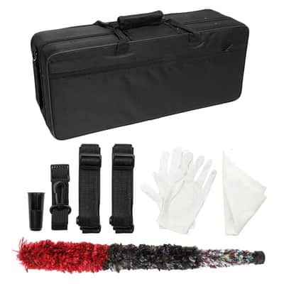 Eb Alto Saxophone Outfit Gold Lacquered Brass w/ Hard Case, Mouthpiece, Reed & Gloves image 10