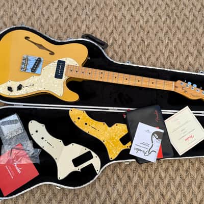 Fender Britt Daniel Telecaster Thinline | Reverb