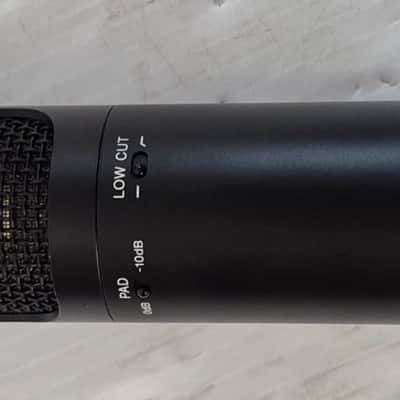 Sony C-100 Hi-Res Dual Capsule Condenser Microphone 2010s - Black image 7