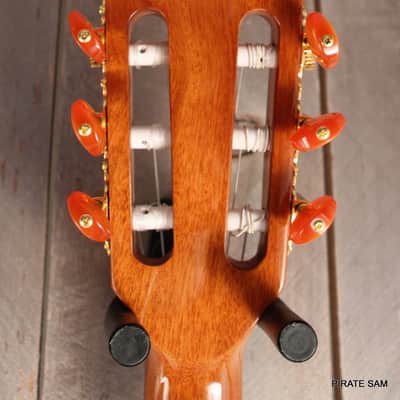 WASHBURN Festival CUSTOM ART Guitar - EACT42S Classical Thinline image 11
