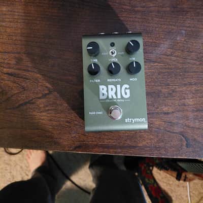Strymon Brig dBucket Delay 2023 - Present - Green image 2
