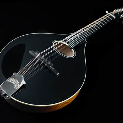 Collings MT-O, Black Gloss Top, Engelmann, Maple - NEW image 11