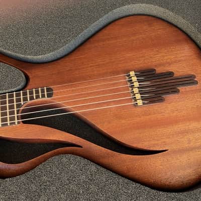 Paradis  Avalon ElectricAvalon Electric Acoustic Nylon String Guitar Polyphonic Acoustic image 6