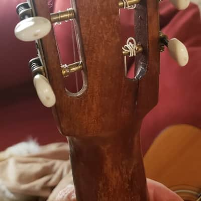 Raffael Calace & Figlio Classical Guitar-Luthier-Made, Naples, Italy 1960 image 10