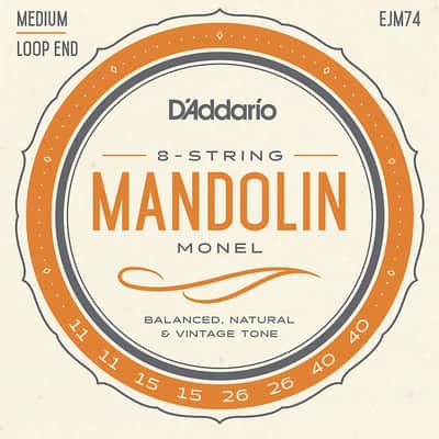 D'Addario Mandolin Strings Loop End Monel EJM74 11-40 image 1
