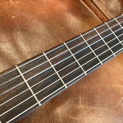 Vintage 1982 Gibson Chet Atkins Classical A/E w/Peerless Case image 20