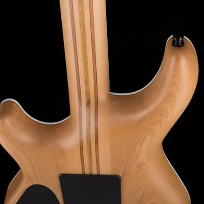 Mayones Regius 4Ever 6 String 3A Grade Eye Poplar Top Jeans Black Three Tone Blue Burst Satine Finish image 18
