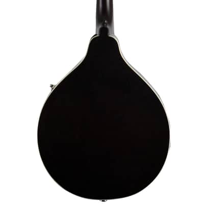 Fender A52E Concert Tone Mandolin with Pick-Up - Sunburst image 4