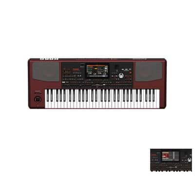 Korg Pa1000 61-key Professional Arranger-NEW
