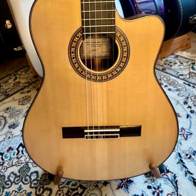 Juan Fernandez Utrera  Classical & Flamenco Cutaway 2023 image 3