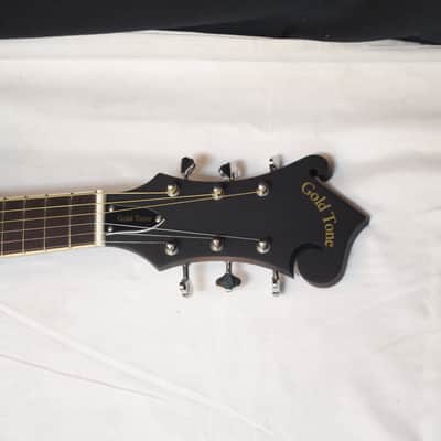 GOLD TONE F-6 F-style 6-string acoustic electric mandolin GUITAR w/ CASE new image 4