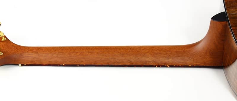Taylor Cujo-10 Dreadnought image 7