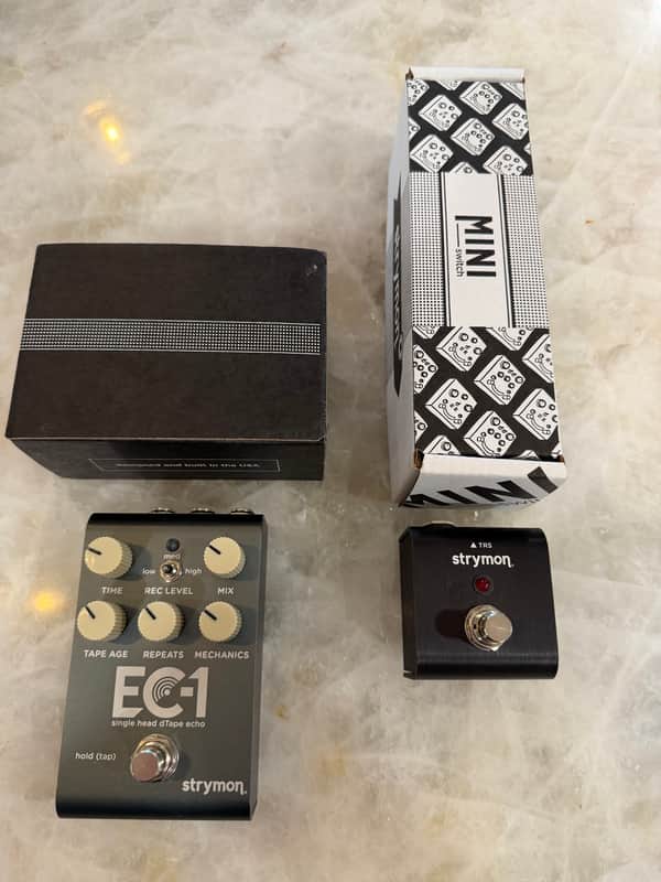 Strymon EC-1 Single Head dTape Echo 2025 - Present - Grey image 1