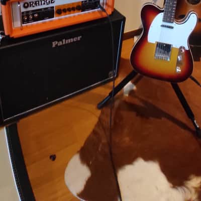 Fender Vintage Custom 1959 Telecaster® Custom - Rosewood 2024 - NOS image 7