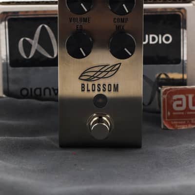 Jackson Audio Blossom 2020 - Silver image 2