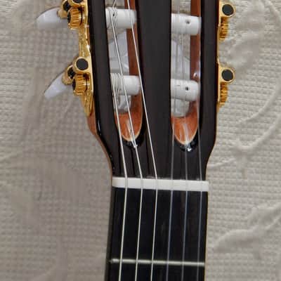 Esteve Alegria crossover cutaway / lattice braced / cedar top/48 mm nut width image 5