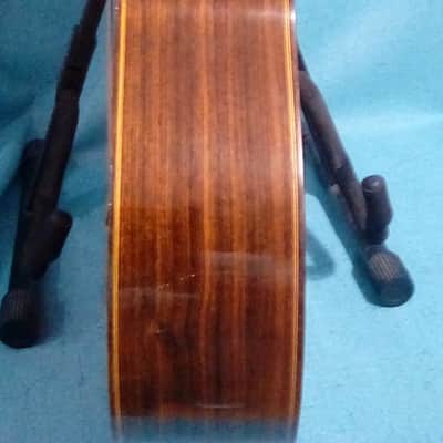 Beautiful Rare DiGiorgio Brazilian Classical Guitar Guarany C2 1979 image 12