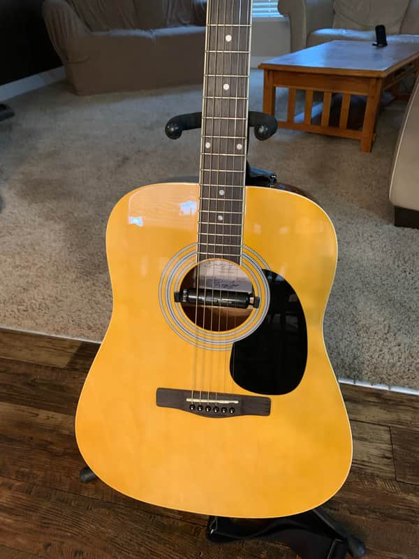 Zager Easy Play ZAD01PK N Acoustic Guitar image 1