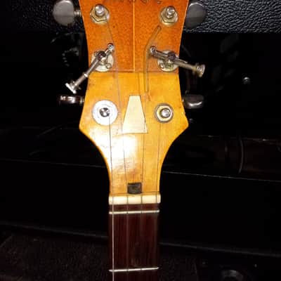🎶 For Sale: Vintage Muse 5-String Banjo 1974 🎶 image 2