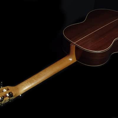 1888 Torres Reproduction Concert Classical Guitar image 5