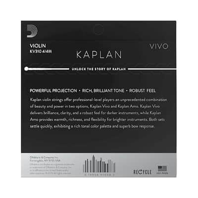 D'Addario Kaplan Vivo KV310 4/4M image 2