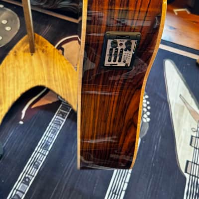 Zager ZAD-900CE 50th Anniversary Edition - Sunburst Fishman Aura Pro Pickup image 10