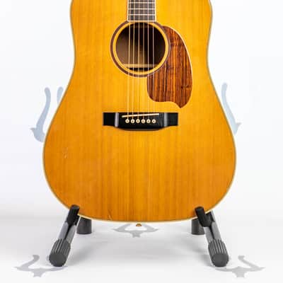 Daion MUGEN Mark II - Six String Acoustic image 1