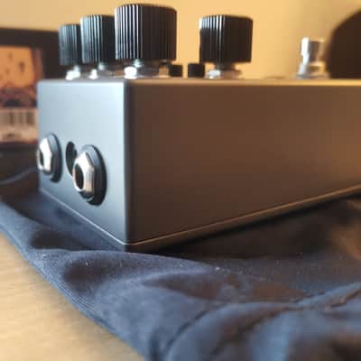 Walrus Audio Mira 2023 image 15
