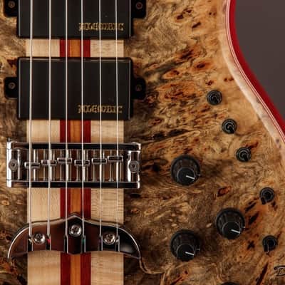 2015 Alembic Further FLG6, Purpleheart/Buckeye image 21