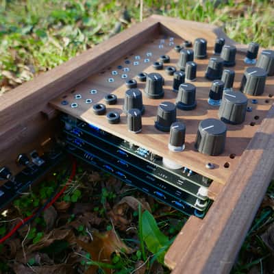 Ellitone Osage Modular Synthesizer System #000 image 6