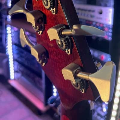 Teye gypsy bass 5 2020 - red image 8