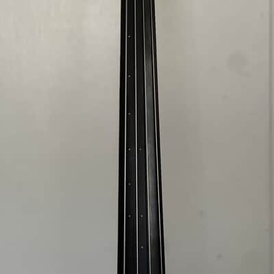 NS Designs NXT4 bass 2000's - passive image 12