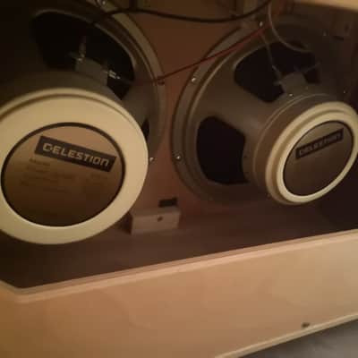 Ceriatone TW Clone Expression image 5