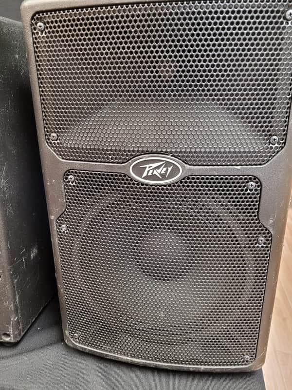 Peavey PVX p10  10inch speaker (1) image 1