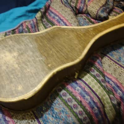 Gibson Soft case for Es 125 175 295 L50 1953 - Tan image 12