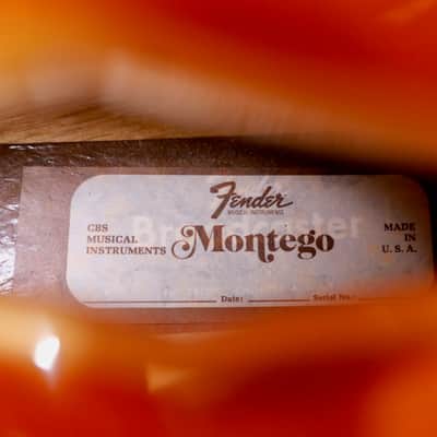 Fender Montego 1971 - Sunburst image 14