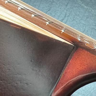 Trembita 12-String Kobza Ukrainian Ukraine Acoustic Guitar image 7