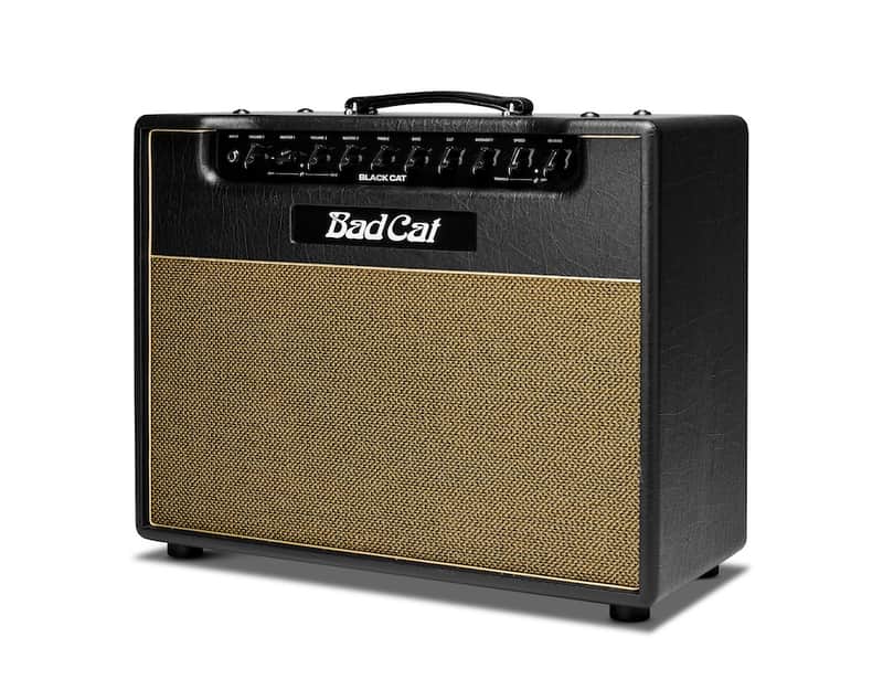 Bad Cat Black Cat Handwired Series 2-Channel 20-Watt 1x12